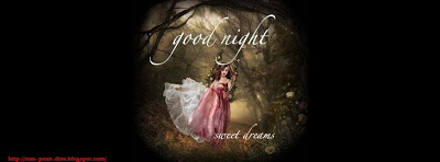 sms pour dire good night