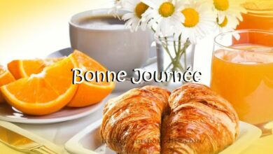 SMS pour dire bonjour