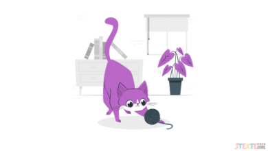 repose en paix mon petit chat