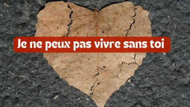 Je ne peux pas vivre sans toi