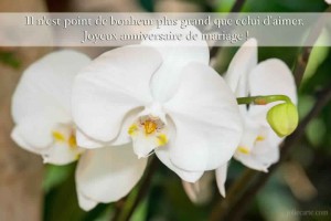 Cartes d'Anniversaire Mariage Gratuites