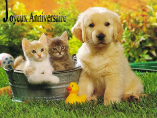 Carte d'anniversaire d'animaux