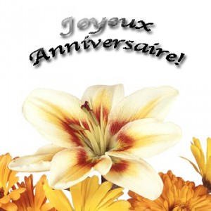 comment souhaiter un joyeux anniversaire